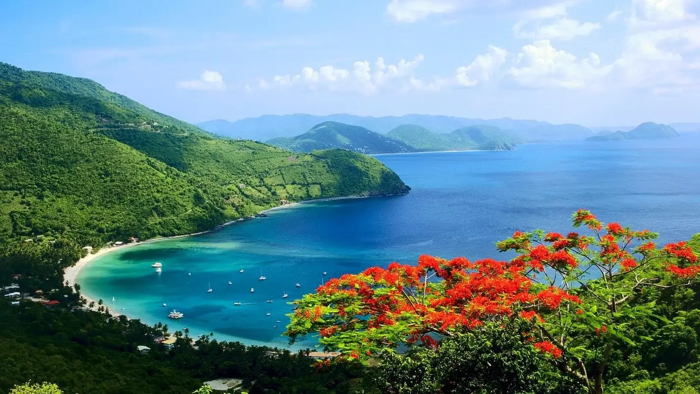 高质量智能化